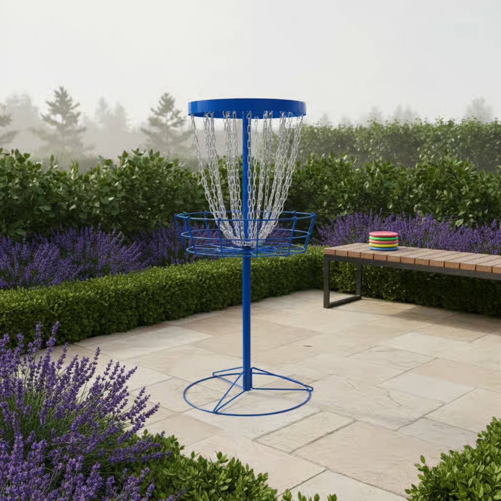 Disc Golf Training Basket Easy - Sports Equipment For Training review and price
