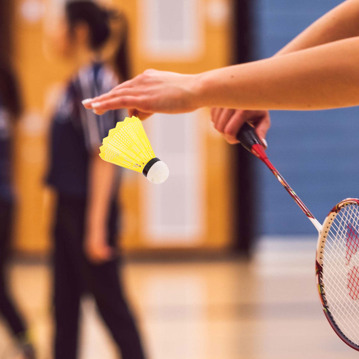 6Pcs Colorful Badminton Shuttl - Sports Equipment Badminton review and price