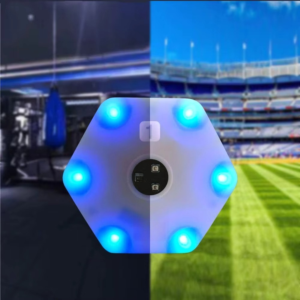 version of agile training reac - Sports Equipment For Training review and price